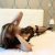 Otele gelen fantezili escort Nil - Görsel4 Otele gelen fantezili escort Nil - Görsel4