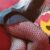 Mükemmel Orgazmın Da En Uç Noktası Sizi Bekliyor Kayseri Escort - Görsel5 Mükemmel Orgazmın Da En Uç Noktası Sizi Bekliyor Kayseri Escort - Görsel5